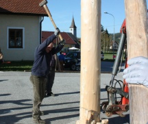 Maibaum_02_IMG_6489.JPG