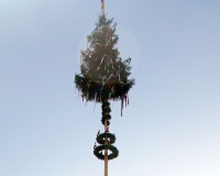 files/aktuelles/2020/2020_04/Maibaum-aufstellen-2020-Cornona-nicht-erlaubt-baum.jpg